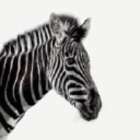 Crosstree Real Estate Partners case study | Real Estate Fund - Investec