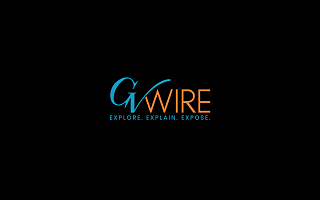 Investors Face Major Losses in Meme Coin Market - GV Wire