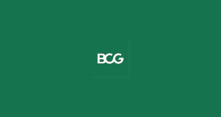 Principal Investors and Private Equity - Boston Consulting Group