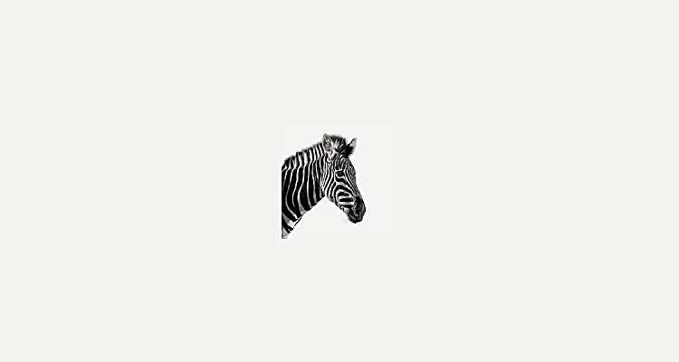 Crosstree Real Estate Partners case study | Real Estate Fund -
investec.com