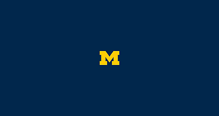 Michigan Ross Alumni Take on Private Equity: Lessons, Challenges, and
Wolverine Connections - University of Michigan's Ross School of
Business
