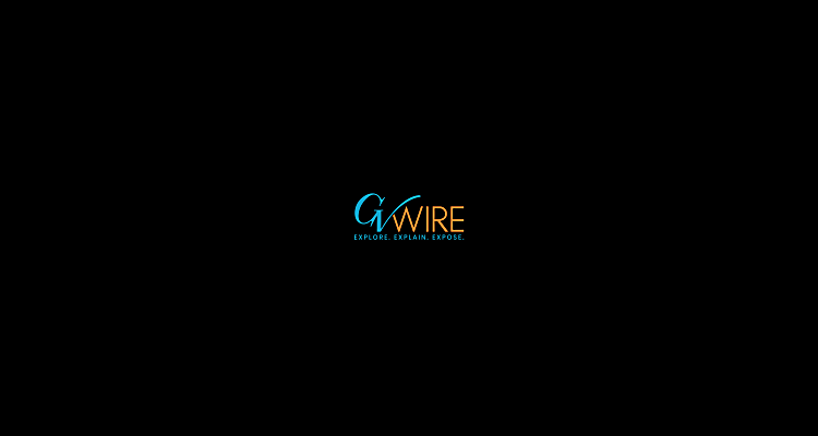 Investors Face Major Losses in Meme Coin Market - GV Wire